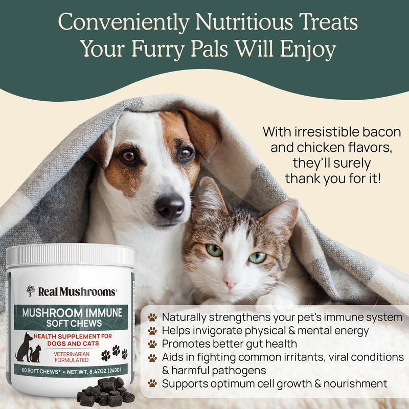 Mushroom Immune Support Pet Chews 60ct Treats for Dogs Booster Supplements Pets with Ashwagandha, Astragalus, Blueberry, Olive Leaf, Acerola Gut Health and Cats - PawsPlanet Australia