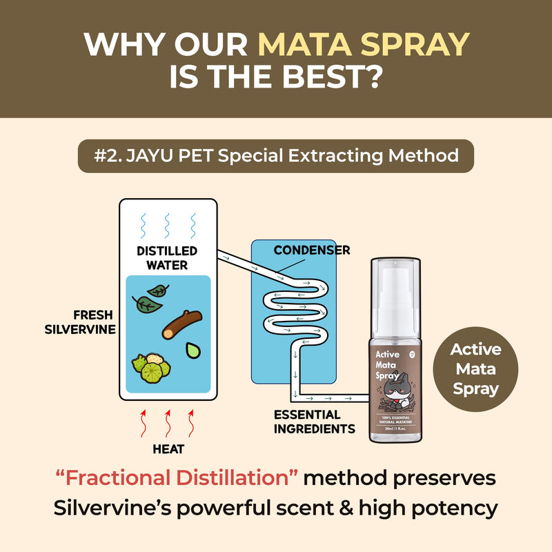 JAYU PET Active MATA Spray – 100% Natural Silvervine Spray for Cats, Liquid Catnip Alternative, Calming Mist for Indoor Kittens, Boosts Play & Engagement, Reduces Stress (1 fl oz) 1fl oz