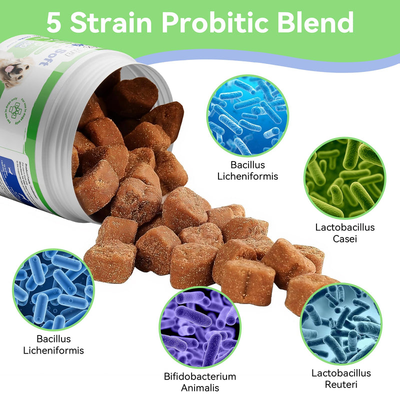 Probiotics for Dogs, Dog Probiotics for Gut Health, Digestive Support, Itchy Skin, Gas & Diarrhea Relief, Dog Probiotic with 6 Billion CFU Prebiotics & Digestive Enzymes, 100 Chews