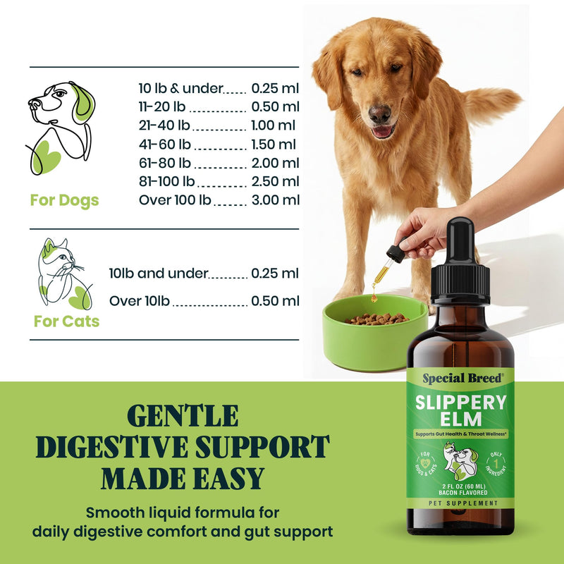 Slippery Elm for Dogs and Cats - Soothing Digestive Relief and Gut Support - Stomach Comfort and Throat Support - Herbal Drops for Pets - Easy to Use - Bacon Flavored - 2 fl oz
