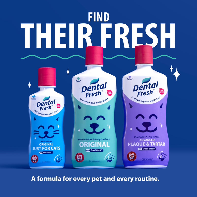 Dental Fresh Water Additive for Dogs and Cats, Clean Teeth and Fresh Breath, Daily Pet Oral Care, Flavorless, 32 fl oz 32 Fl Oz (Pack of 1)