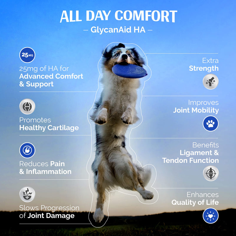 GlycanAid HA Advanced Joint Nutrition for Dogs (60 Chewable Tablets) Made in USA with USA Ingredients: Glucosamine HCL, Chondroitin, Hyaluronic Acid, MSM 60 Count - PawsPlanet Australia