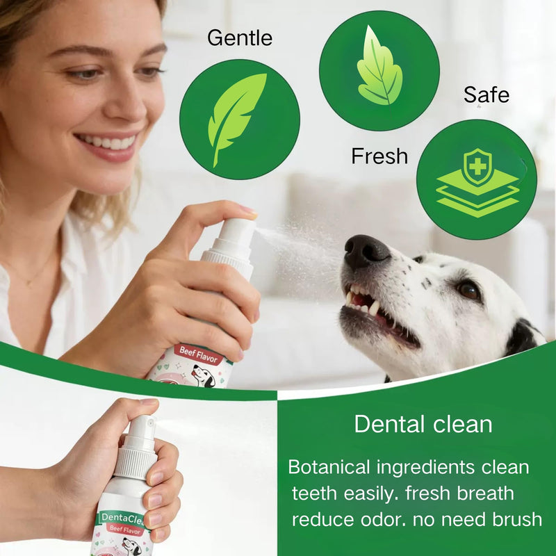 Dentaclean Spray for Dogs and Cats, Eliminate Bad Breath, Minimize Tartar Buildup, Supports Gums Oral Health, Dental Spray with Probiotics, Calendula Extract, Fresh Breath, No Brushing(100ml)