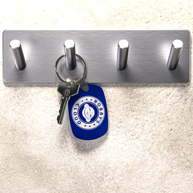 Liftmaster Release Key Replacement 041ASWG-0119 for Liftmaster LA500 & LA400 Commercial Swing Gate Openers Bundled with Robbys Cloud Keychain (1-Pack) 041ASWG-0119 Key 1-Pack