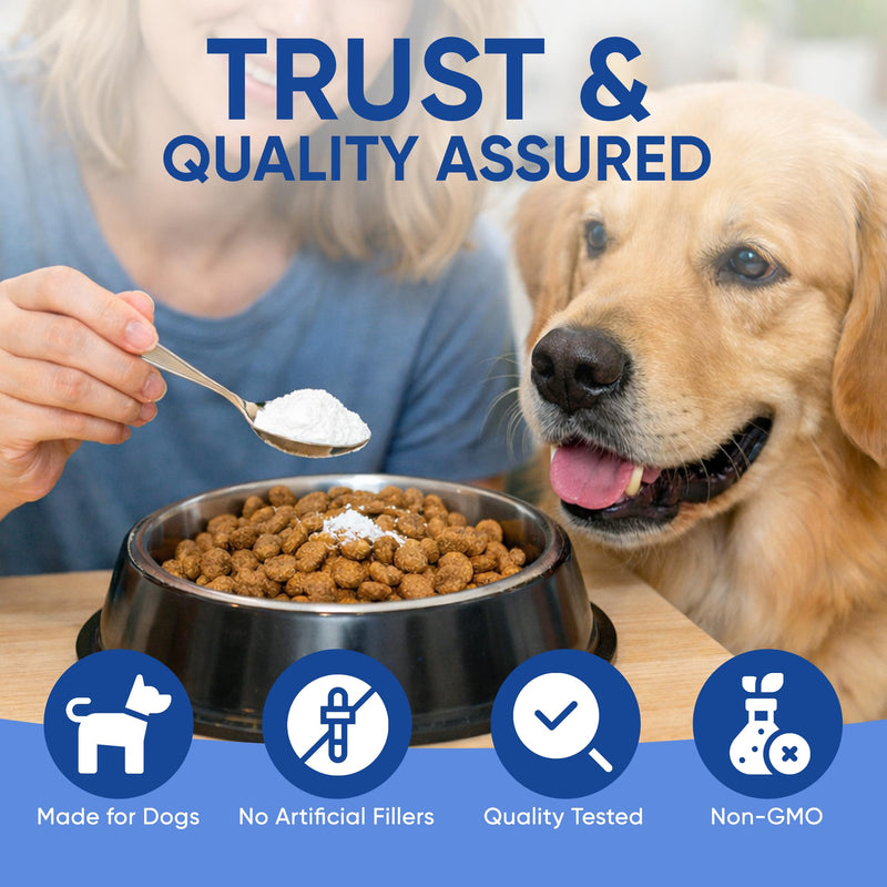 Doggy Supps Taurine for Dogs, Taurine Supplement for Dogs, Immune Support, Boost Energy & Vitality, Skin & Coat Health for Heart, Vision & Daily Wellness, 200 Grams (1) 1