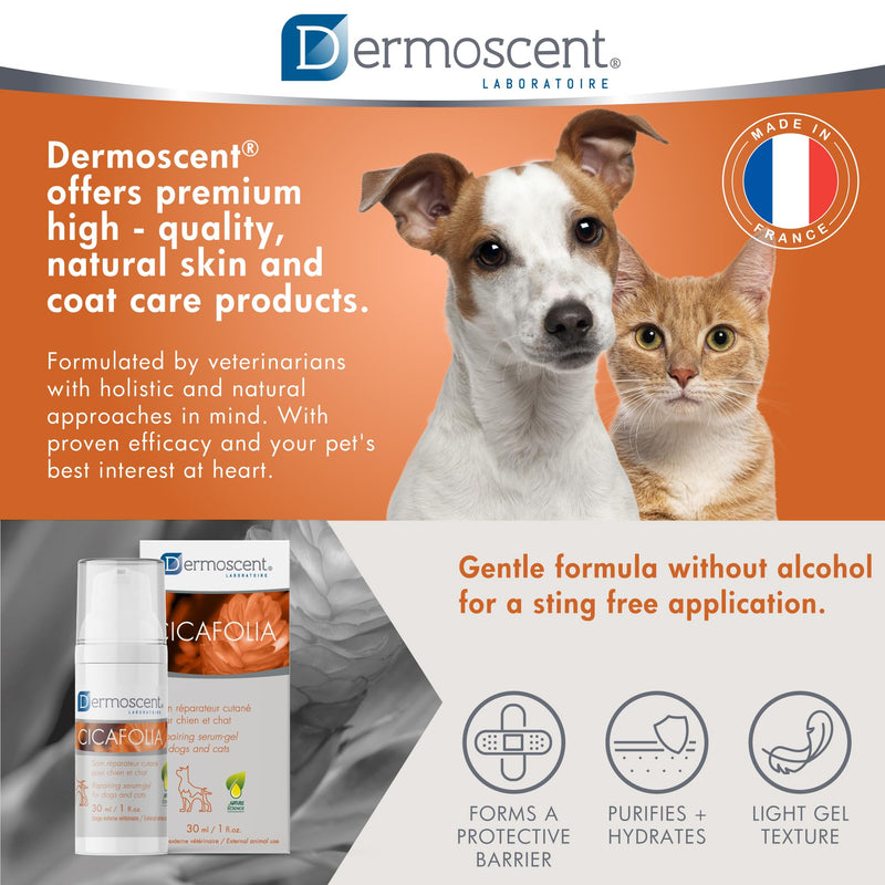 Cicafolia Skin Repair Gel-Serum for Dogs and Cats | Natural Skin Healing Solution | 30 ML