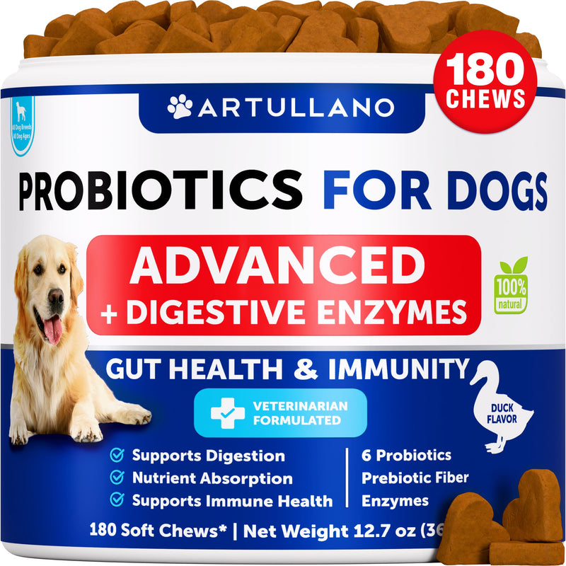 Probiotics for Dogs - Support Gut Health, Itchy Skin, Allergies, Immunity, Yeast Balance - Dog Probiotics and Digestive Enzymes with Prebiotics - Reduce Diarrhea, Gas - 180 Probiotic Chews for Dogs 180 Treats