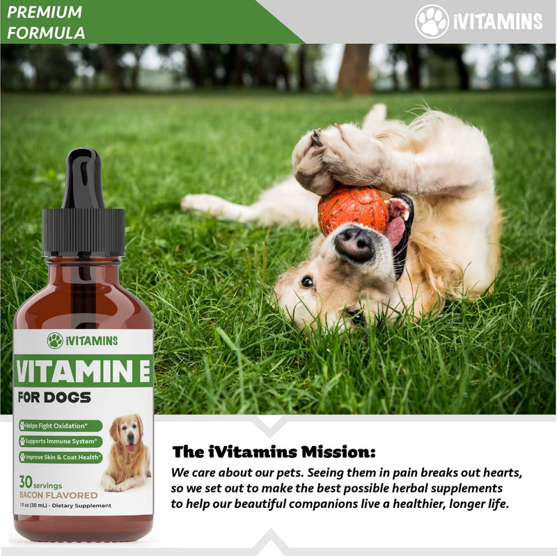Vitamin E for Dogs | Vitamin E Dog | Vitamin E for Dog | Dog Vitamins E | Vitamin E Canine | Vitamin E Supplement for Dogs | Vitamin E Oil Dog | Dog Vitamins | Dog Immune Support | 1 fl oz - PawsPlanet Australia