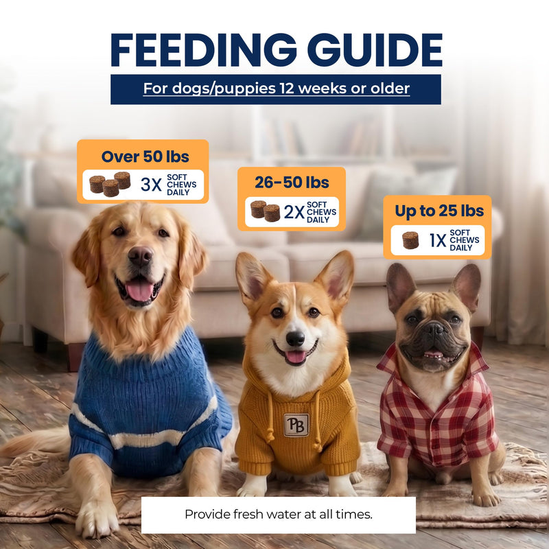 Dental Soft Chews for Dogs, Oral Health & Fresh Breath Support, Probiotics + Seaweed + Zinc, Helps Reduce Plaque & Tartar, 60 Soft Chews Chicken Flavor Dental
