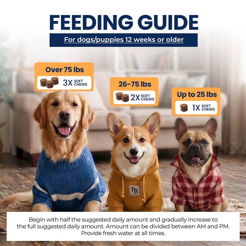 Probiotic Soft Chews for Dogs, Gut Health & Digestive Support, 6 Billion CFU + Enzymes + Prebiotics, Immune Support, 60 Soft Chews Pumpkin Flavor Probiotic