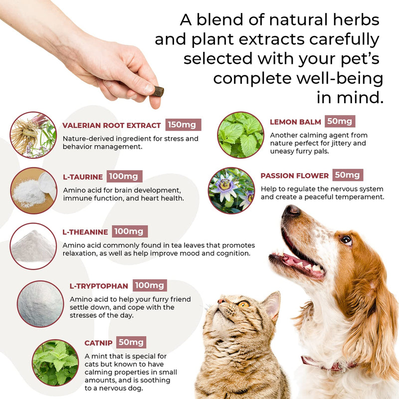 Real Mushrooms Immune Pet Chews (60ct) & Relax Pet Chews (60ct) - Bundle for Immunity, Relaxation & Longevity - Reishi, Lion’s Mane, Ashwagandha, Astragalus & More - Vegan, Non-GMO, Gluten-Free - PawsPlanet Australia