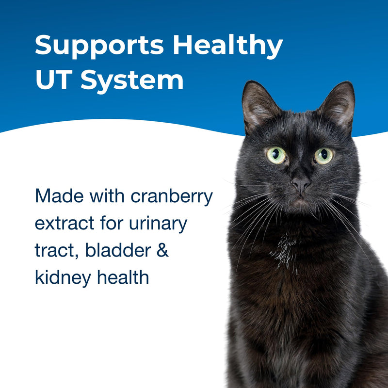 Pet-Ag UT Solution Gel Supplement for Cats - 3.5 oz - Supports a Healthy Urinary Tract for Cats 6 Months and Older - PawsPlanet Australia