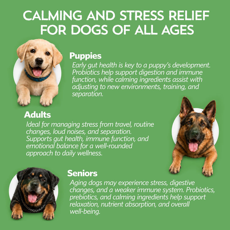 Fidobiotics Relaxin’ Rover Calming Supplement, Probiotics for Dogs with Valerian, Chamomile & GABA for Stress & Anxiety Relief, Tasty T-Bone Flavor 20 Servings 20 Day