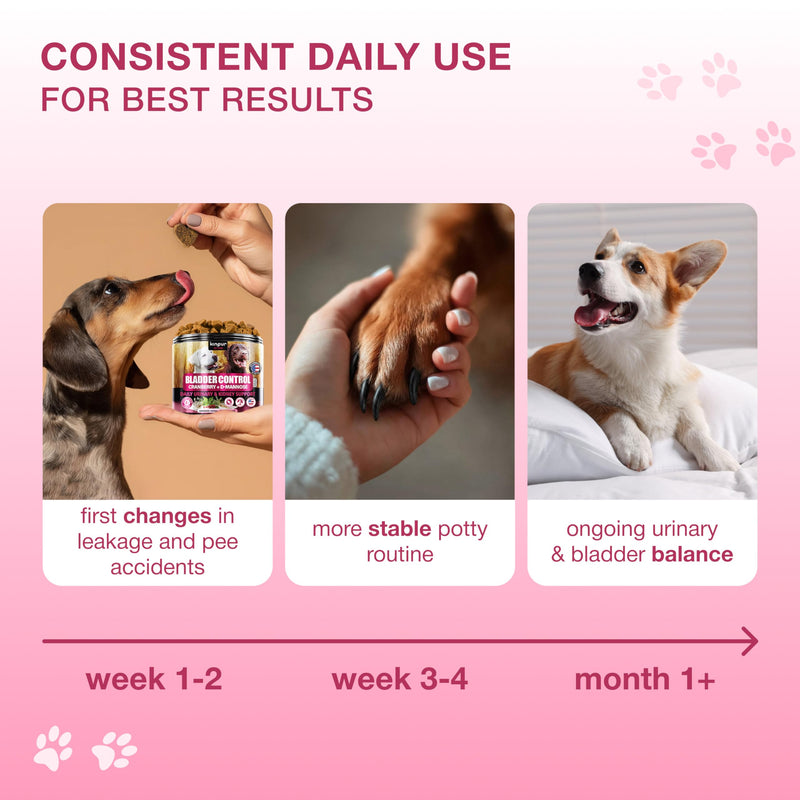 Dog UTI Support Chews with Cranberry & D-Mannose – Cranberry Supplement for Dogs, Urinary Tract & Bladder Support for Dogs, Dog Bladder Control, Kidney Health, Soft Duck Chews, 120 Bites