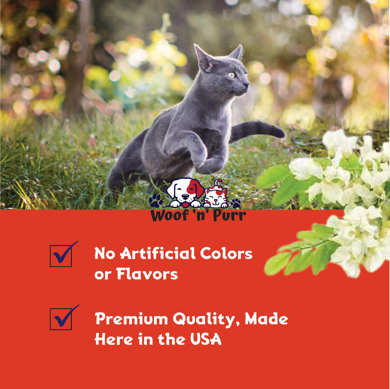 Natural Cat Antibiotic - Antibiotics for Cats - Pet Antibiotics - Cat Antibiotics - Cat Allergy Relief for Cats - Antibiotic for Cats - Cat UTI Antibiotics - 1 fl oz: Roast Chicken Flavor - PawsPlanet Australia