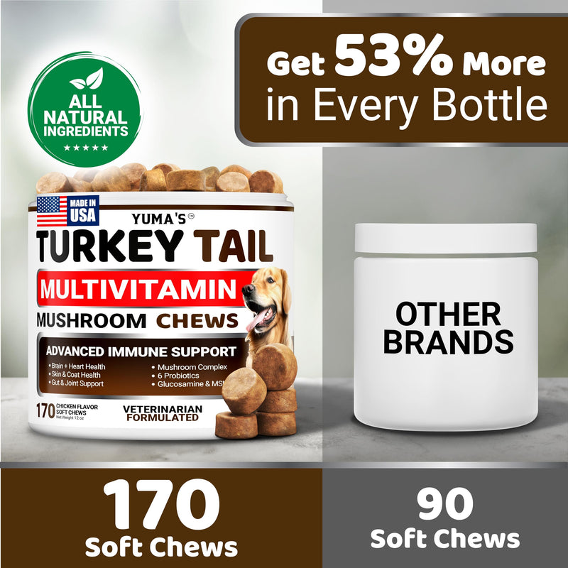 Turkey Tail Mushroom for Dogs - 170 Count - Mushroom Chews for Dogs Lipoma Lumps and Bumps - Immune Health, Digestive, Skin, Energy, Joint Vitamin Support Guard Buddy - Multivitamin Supplement Multivitamin Mushroom Complex 170 Chews