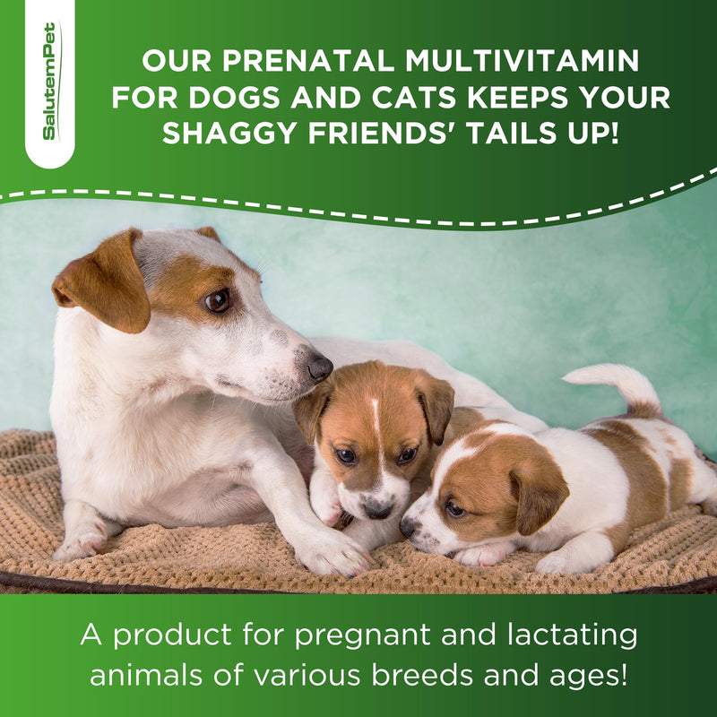 Vitamins for Pregnant Dogs and Cats - Dog Prenatal Vitamins - Pregnant Cat Supplies - Turkey Flavor, 2 fl.oz - PawsPlanet Australia