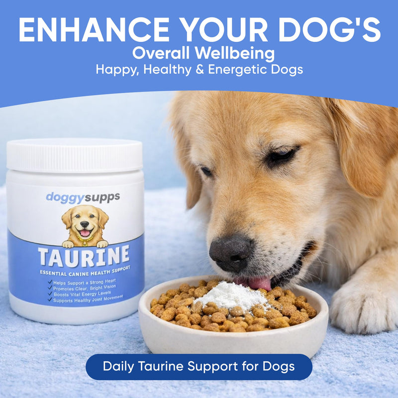 Doggy Supps Taurine for Dogs, Taurine Supplement for Dogs, Immune Support, Boost Energy & Vitality, Skin & Coat Health for Heart, Vision & Daily Wellness, 200 Grams (1) 1