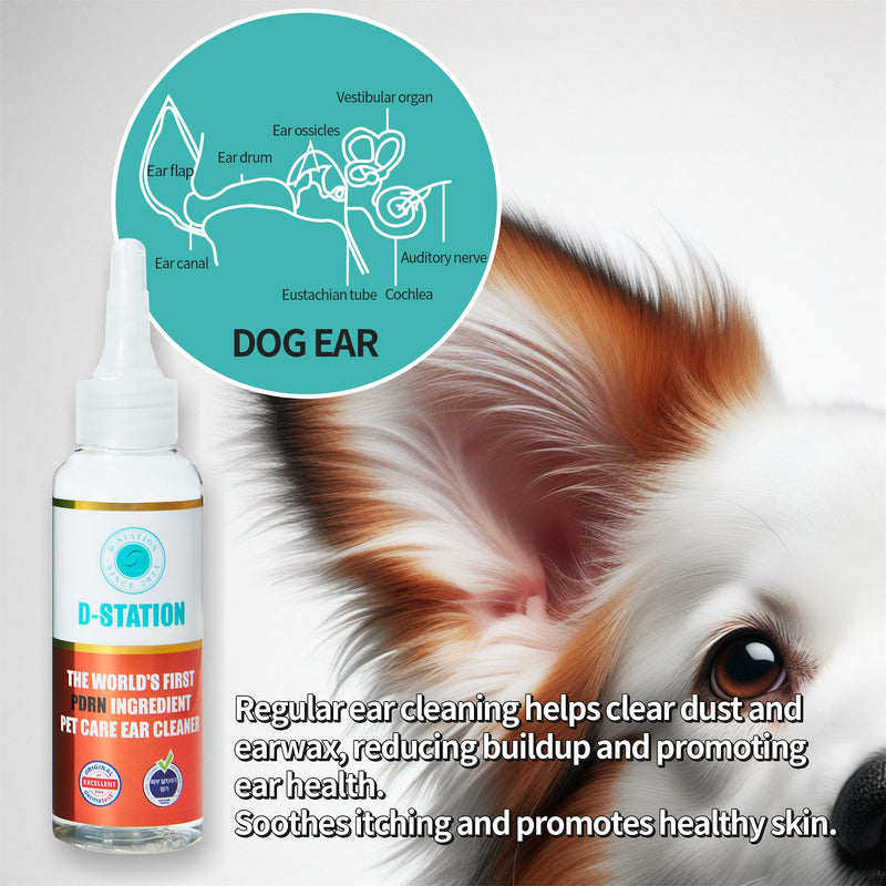 D-STATION PDRN OTIC Ear Cleaner is formulated with Premium PDRN to Soothe itching, Reduce Inflammation, and Keep Ears Clean While Promoting Healthy Ear Skin. Suitable for Dogs & Cats of All Ages. 4oz - PawsPlanet Australia