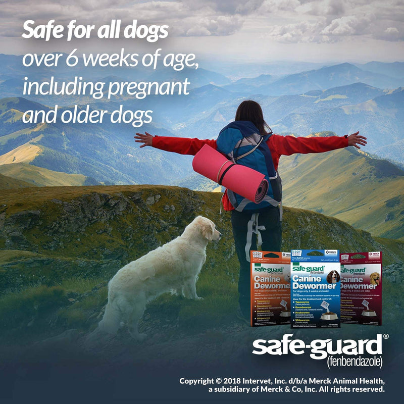 Safe-Guard (fenbendazole) Canine Dewormer for Dogs, 4gm pouch (ea. pouch treats 40lbs.) - PawsPlanet Australia