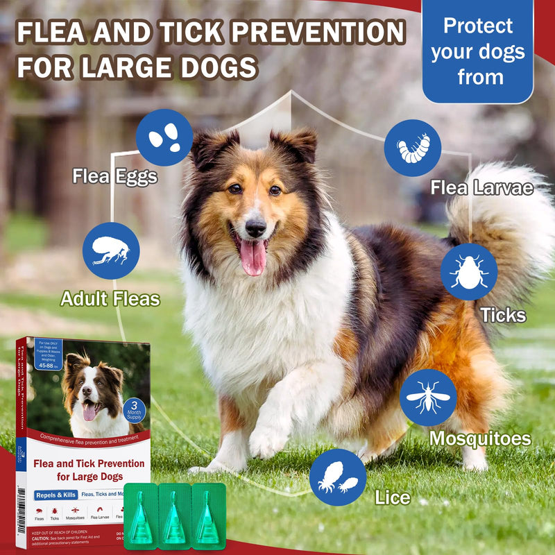 Flea and Tick Prevention for Large Dogs, Flea Drops for Dogs 45 to 88 lbs, 3 Month Support for Skin & Coat Health, Fast Acting, Dog Flea and Tick Treatment, Supplement