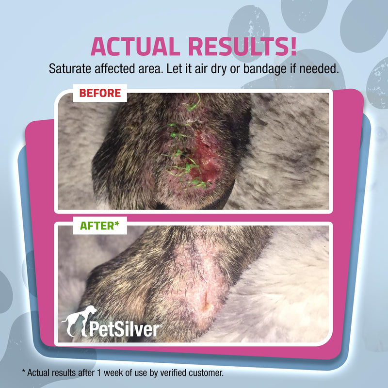 PetSilver - Wound & Skin Spray (4 fl oz), Teeth & Gum Spray (4 fl oz), and Immune Support (2 fl oz) with Patented Chelated Silver - Wound Care, Oral Care, Sinus & Cough Relief for Cats and Dogs