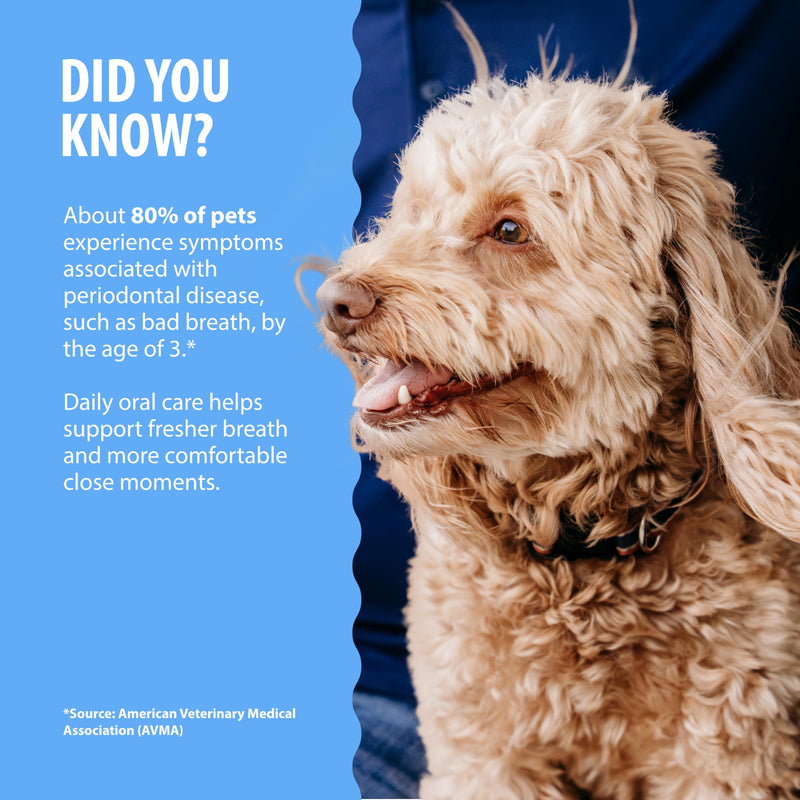 Dental Fresh – Oral Spray for Dogs and Cats – Daily Pet Dental Cleaning Spray to Support Healthy Teeth and Help Freshen Breath – 4 Fl Oz