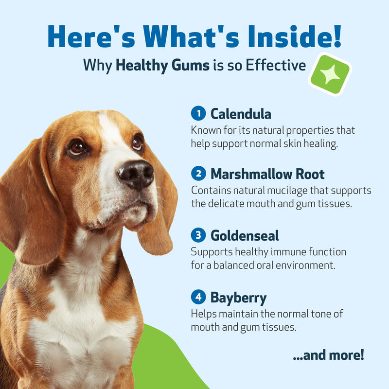 Pet Wellbeing Healthy Gums for Dogs - Topical Drops for Oral Care, Dental Health & Fresh Breath - NASC Certified & Vet-Formulated - 4 oz Liquid 4 fl oz (118 ml)