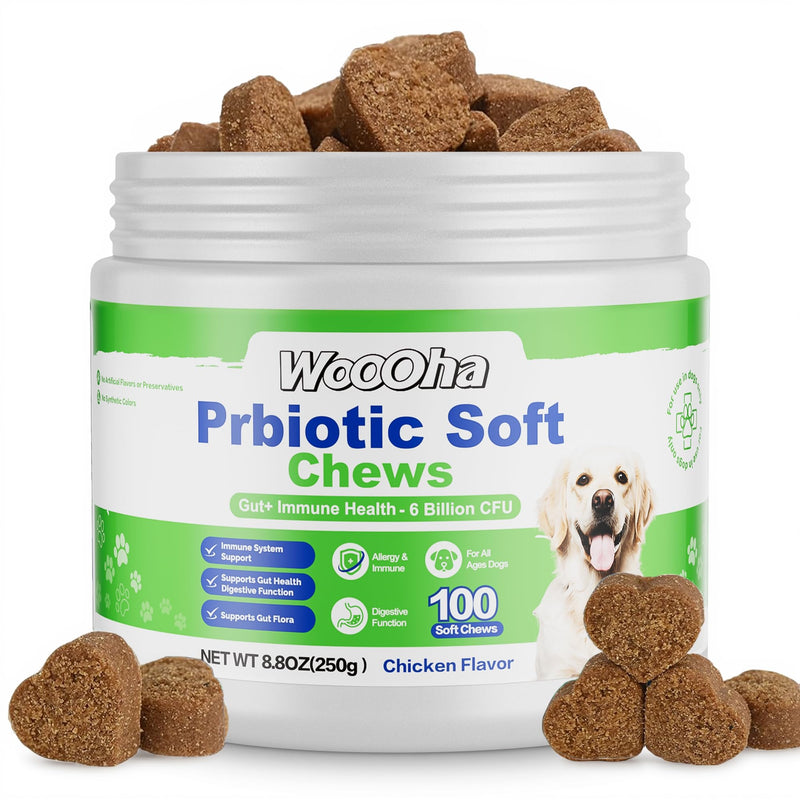 Probiotics for Dogs, Dog Probiotics for Gut Health, Digestive Support, Itchy Skin, Gas & Diarrhea Relief, Dog Probiotic with 6 Billion CFU Prebiotics & Digestive Enzymes, 100 Chews