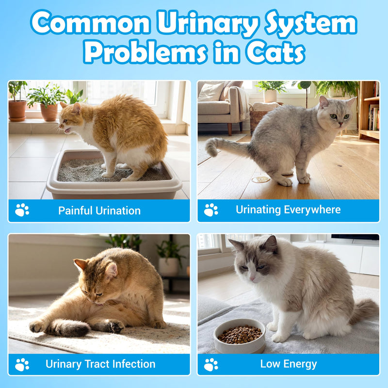 Cat Urinary Tract Health Supplement,Cats UTI Chews, Bladder and Kidney Support for Cats, Contains Cranberry, Yeast Extract and Vitamins, 100 Count