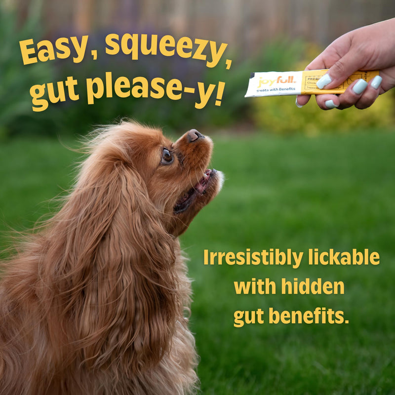 JoyFull Ultimate Dog Gut Health Bundle: Chicken Squeeze Treats (24 Ct) & Daily Probiotic Powder (30 Pkts) – Prebiotic & Probiotic Digestive Support, Immune Boost & Meal Topper for Picky Eaters