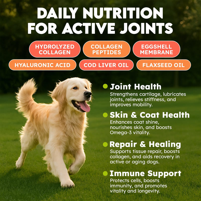 Collagen for Dogs - 150 Chews - Joint, Skin & Coat Supplement with Hyaluronic Acid, Eggshell Membrane & Vitamin C - Daily Hip & Joint Support for Senior Dogs & Puppies - Beef