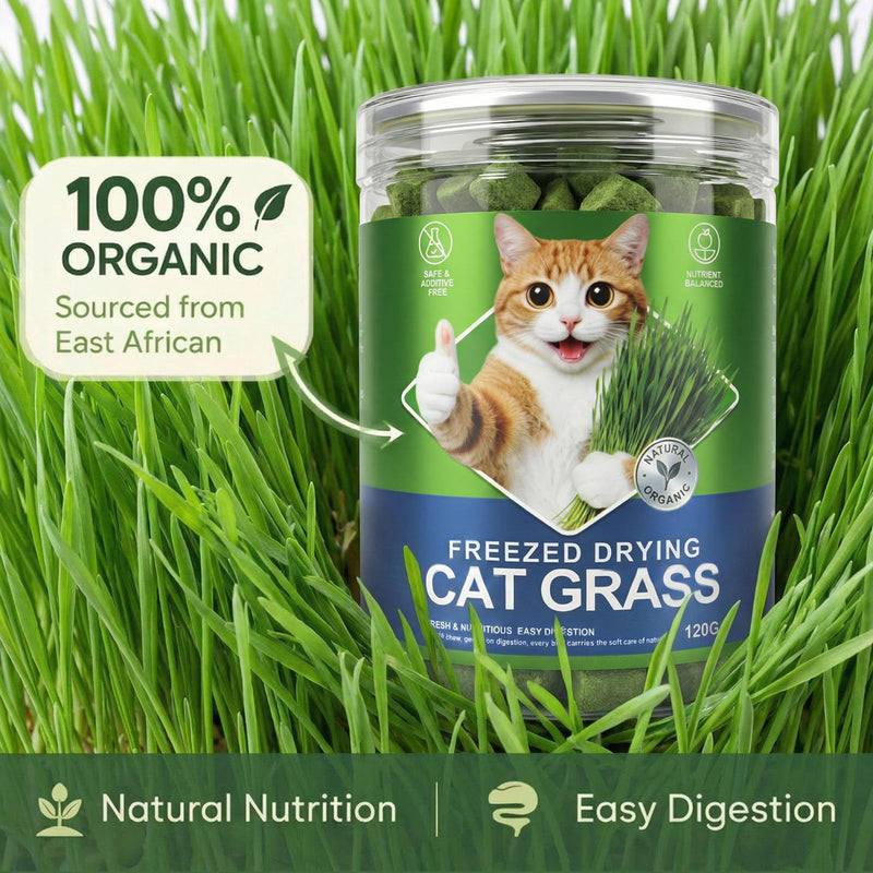 Freeze Dried Cat Grass Treats for Indoor Cats - Chicken & Wheatgrass Dice for Hairball Control & Dental Care, Grain Free High Protein Training Rewards, Digestive Support Cat Snacks (120g)