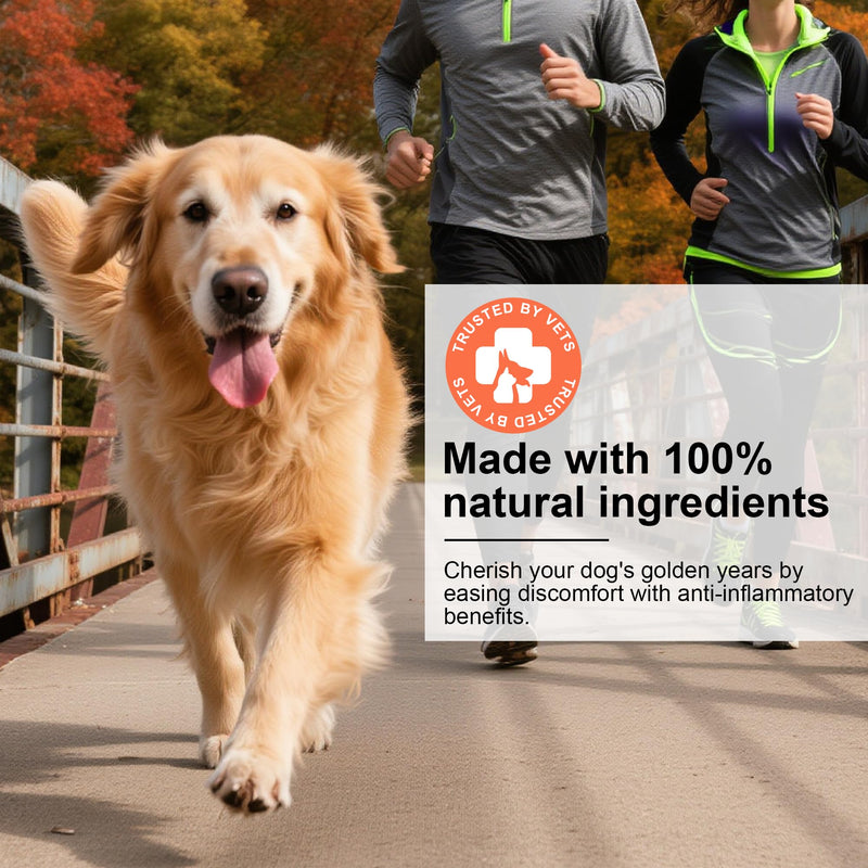Hip and Joint Supplement Powder for Dogs Glucosamine for Dogs, Dog Arthritis Vitamins for Hip and Joint Pain Relief Contains Glucosamine Chondroitin MSM Vitamin E for All Breeds and Sizes 0.15 KG Beef