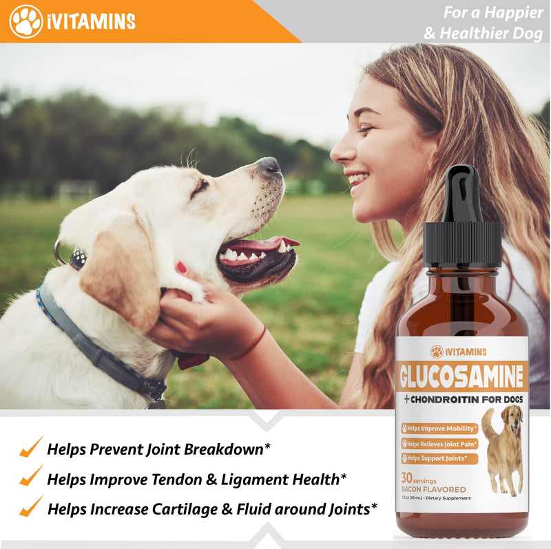 Glucosamine for Dogs - Dog Glucosamine - Supports Healthy Hips, Joints, Mobility & Much More - Dog Joint Supplement - Joint Supplement for Dogs - 1 fl oz - Bacon Flavor