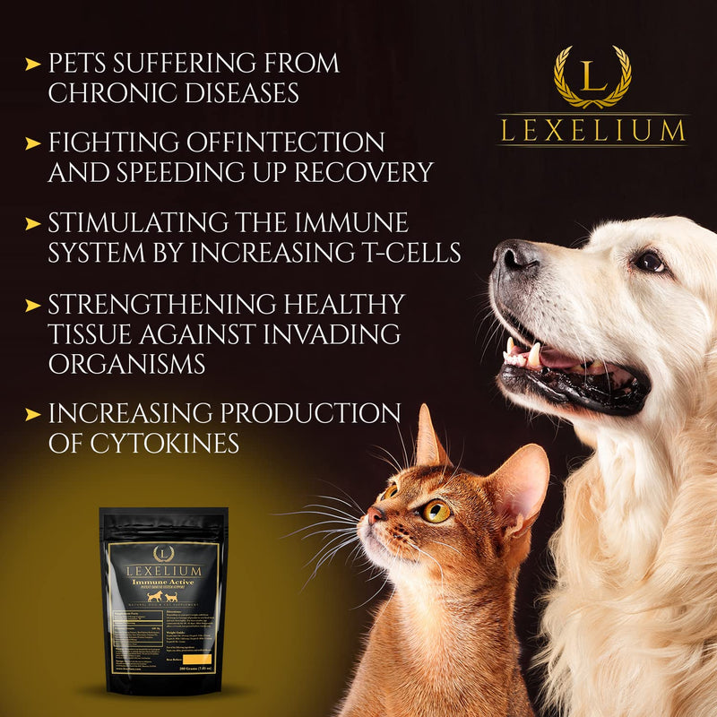 Immune Support for Cats and Dogs - Natural Immunity Supplement Powder Helps Detoxify and Protect Your Pets from Digestive, Respiratory and Skin Issues - Helps with Chronic Infections - 200g - PawsPlanet Australia