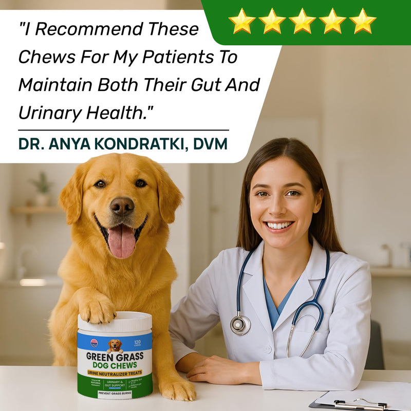 Green Grass Dogs Chews w/Probiotics - Prevent Urine Burning Grass - Pee Gras Spot Saver - Dog Urine Neutralizer for Lawn Treats, UT & Gut Health for Dogs, Lawn Burn from Dog Urine 120Ct