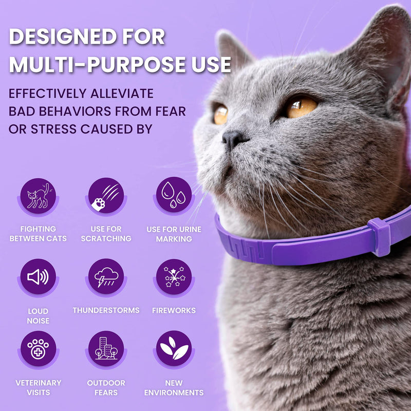 Pheromone Calming Collar for Cats: Breakaway Cat Calming Collar for Anxiety, Separation Stress, Multicat Aggression, Spraying, Meowing - for Indoor Use, Moving & Travel, 4 Pack (M Purple) M Purple