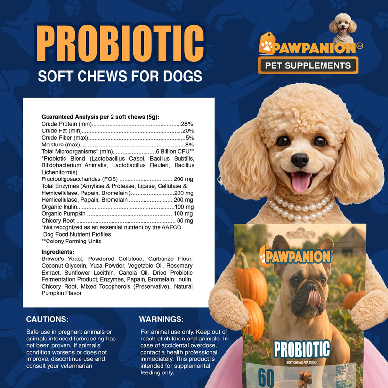 Probiotic Soft Chews for Dogs, Gut Health & Digestive Support, 6 Billion CFU + Enzymes + Prebiotics, Immune Support, 60 Soft Chews Pumpkin Flavor Probiotic