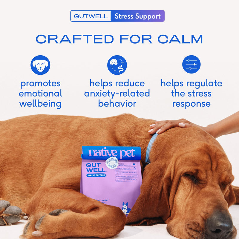 Native Pet Daily Wellness Bundle & Dog Anxiety Relief – 11-in-1 Vitamins and Supplements, Omega 3 Fish Oil for Dogs & Calming Supplement for Gut, Skin, Coat, Joint & Immune Support