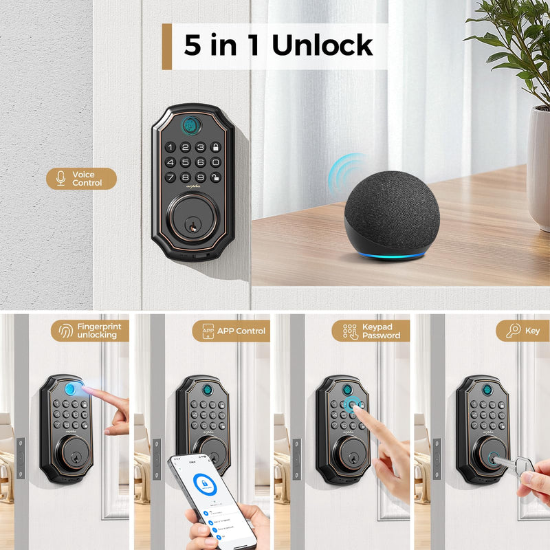 ARPHA Fingerprint Smart Door Lock - Keyless Entry Door Lock, Built-in WiFi Deadbolt with Keypad, APP Remote Control, Easy Installation (WiFi+Fingerprint+Password) WiFi+Fingerprint+Password