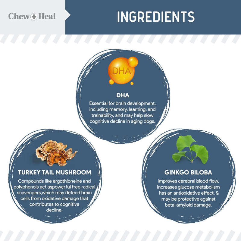 Chew + Heal Labs Senior Dog Vision and Cognition Chews - 60 Soft Chews for Dog Eye Care and Memory - 7-in-1 Multivitamin with Omega Fatty Acids, Vitamins, and Botanicals - Made in the USA 60 Count