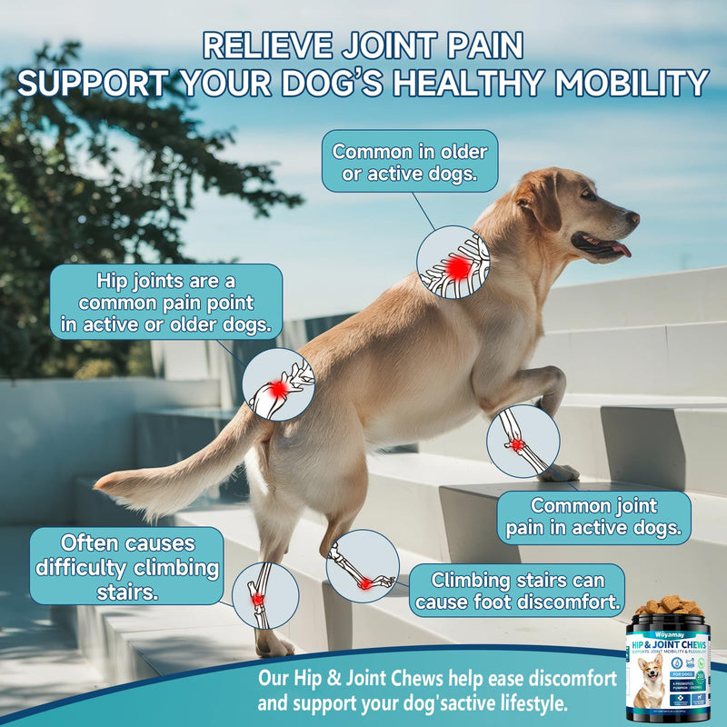 Dog Joint Supplement, Dog Hip and Joint Supplement Dogs, 200pcs Glucosamine for Dogs with, MSM, Chondroitin, Vitamins C & E for Large Breed, Joint Supplement for Dogs, Chicken Flavor Standard Strength