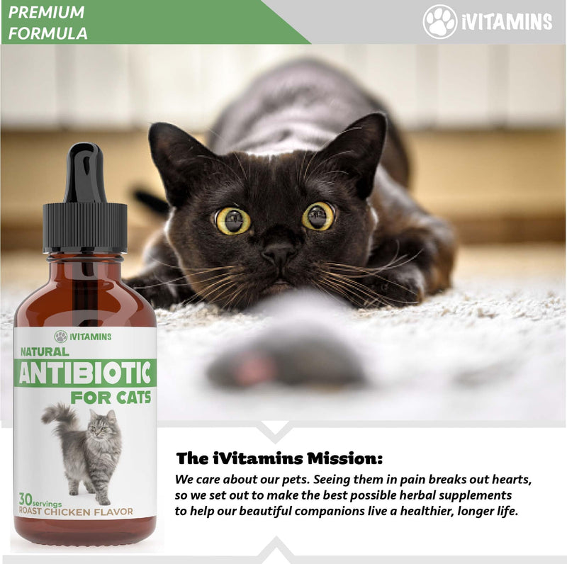 Natural Alternative Cat Antibiotic | Cat Antibiotics | Antibiotics for Cats | Antibiotic for Cats | Cat Antibiotics for UTI | Cat UTI | Cat UTI Treatment | Cat UTI Antibiotics | 1 fl oz (1)