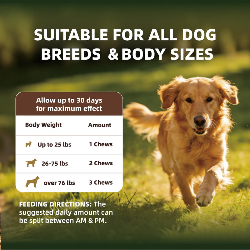 APL Probiotics for Dogs, Digestive Health Supplement with 6 Probiotics and 6 Billion CFUs, Supports Gut Health and Immune System, Helps Sensitive Stomachs, Beef Flavor Soft Chews, 300 Count