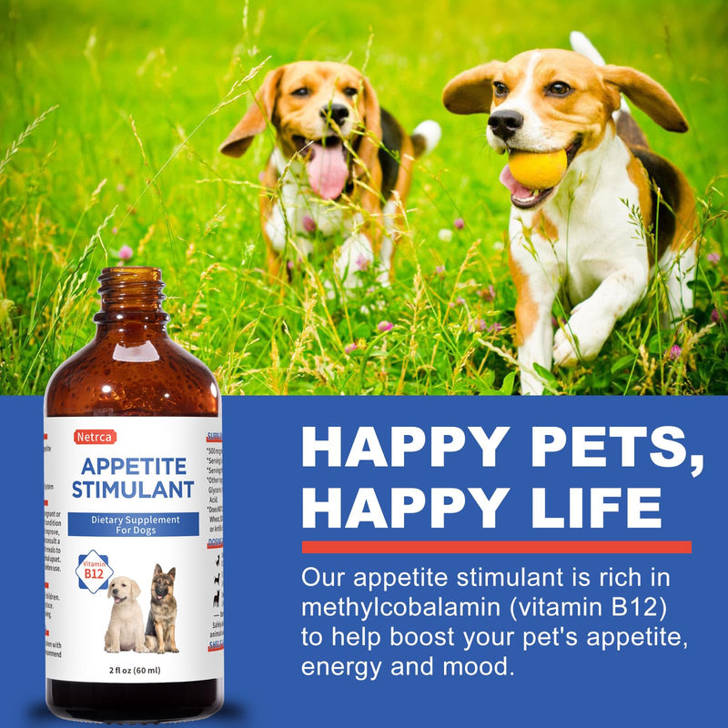 Appetite Stimulant for Dogs - Vitamin B12 (Methylcobalamin) Liquid Supplement - Boosts Appetite, Energy, and Mood - 60 ml