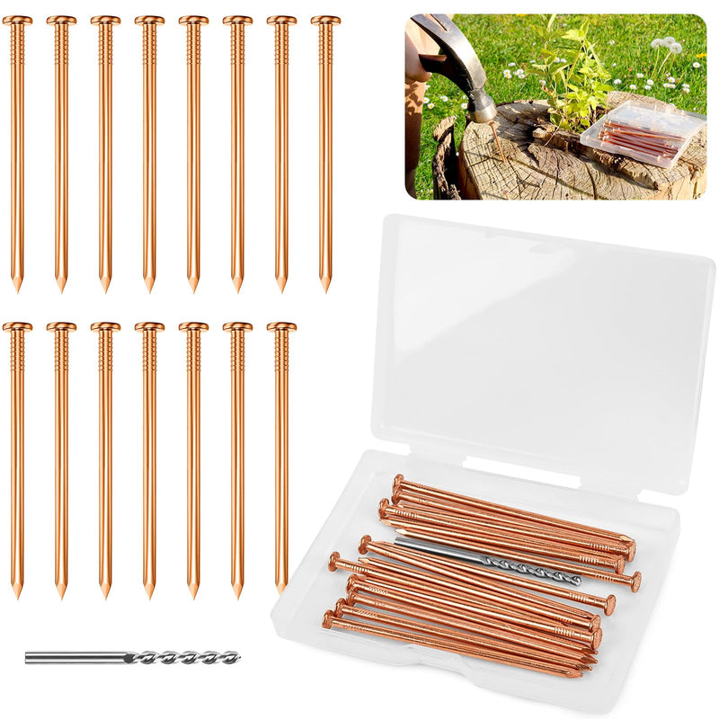 15 pcs Copper Nails for Killing Trees Stump Root Slowly, 3.15" Copper Nails with Drill, Stump Removal Spikes Nails for Trees, Stumps 3.14 " -15PCS