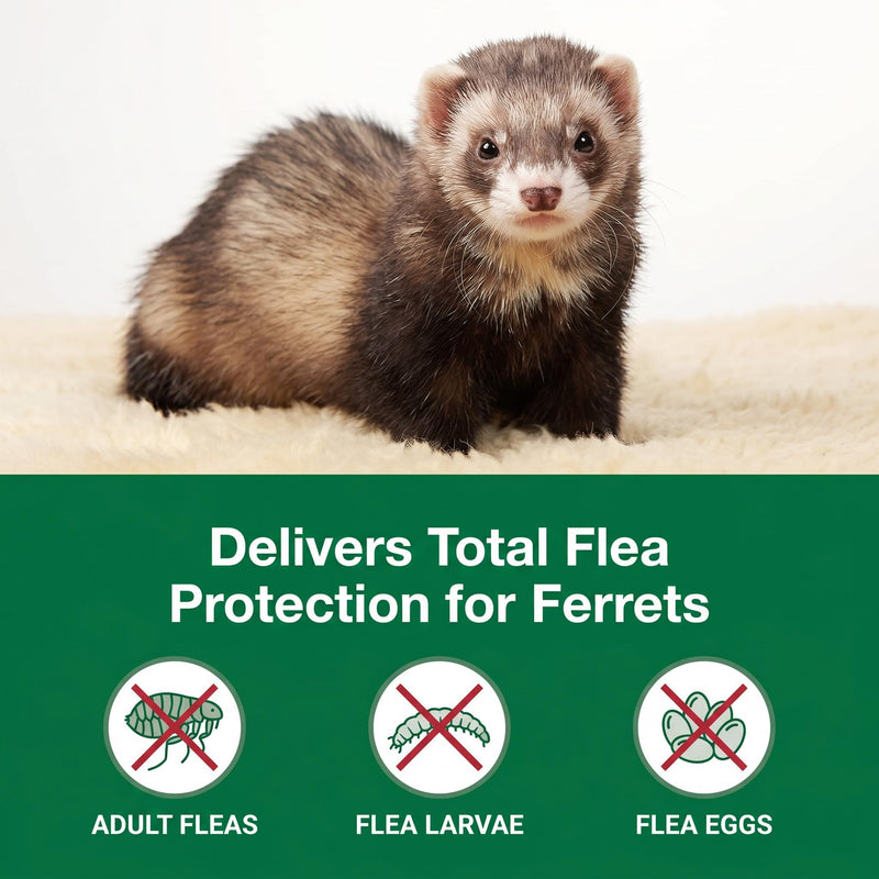Ferret Flea Prevention, 4-Month Supply (2.5 ml High-Volume Tube) for Multi-Ferret Households, 1 lb+ | NDC Non-Nitenpyram Code