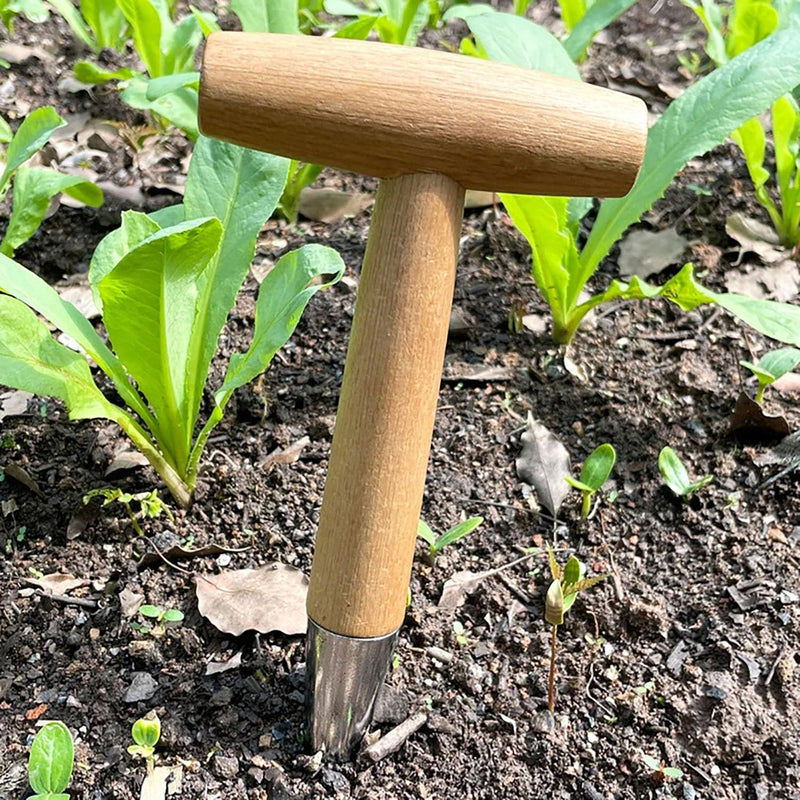 Garden Seed Planter Seed Planter Tool Seed Dibber Manual Garden Planter for Planting Vegetables and Flowers -1pcs