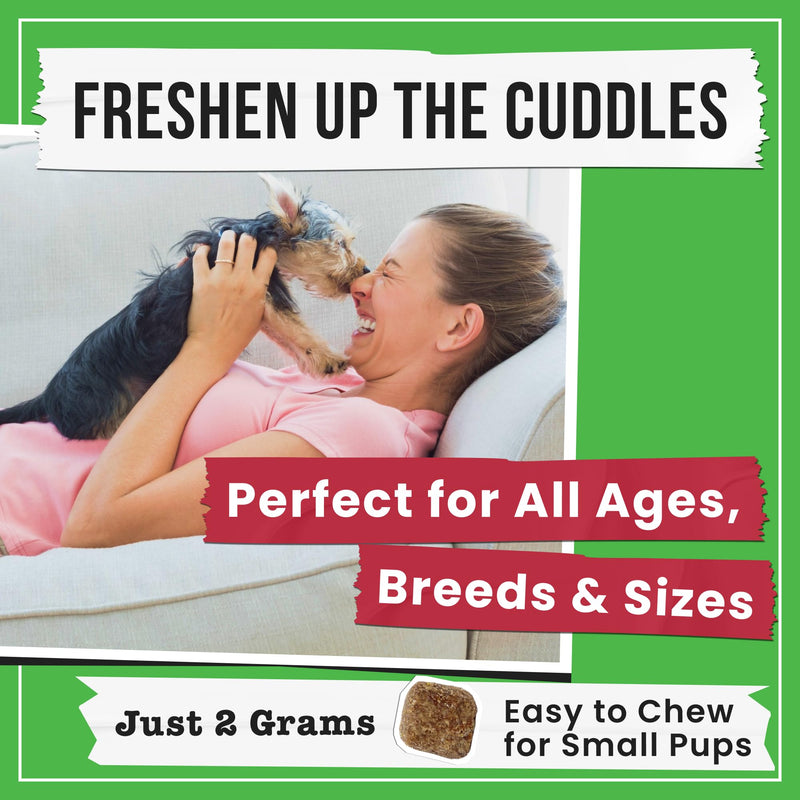 No Poo Chews for Dogs - Coprophagia & Stool Eating Deterrent with Probiotics, Digestive Enzymes & Breath Aid Support - Stop Dog Poop Eating - Made in USA - 120 Soft Chews 120 NO POO Probiotics NO Poo Chews - PawsPlanet Australia